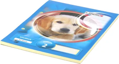 Produktbild von Schulblock A5 50 Blatt 80 g/qm 2-fach gelocht Lineatur 2 Packung mit 10 Stück