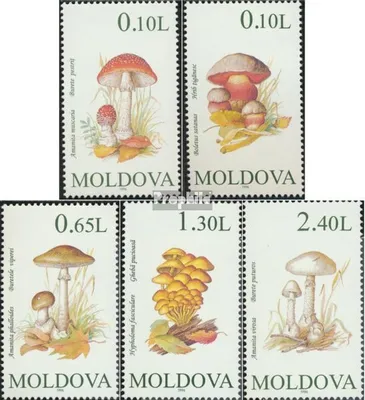 Produktbild von Briefmarken Moldawien 1996 Mi 190-194 (kompl.Ausg.) postfrisch Pilze