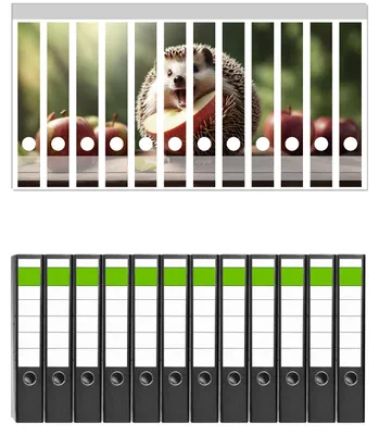 Produktbild von Wallario 12 Stück schmale Ordner inkl. Klebeetiketten mit Motive Lustiger Igel -  Set mit Rückenschildern / Ordnerrücken Stickern