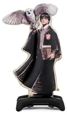 Zdjęcie produktu dla PartyDeco FB483, Zabawka - balon, Folia, Wielobarwny, Obraz, 1060 mm, 1760 mm