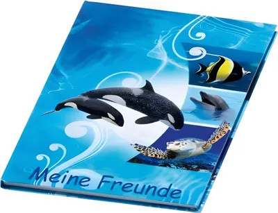 Produktbild von Freundebuch Ocean/Traumpferd sortiert 60S