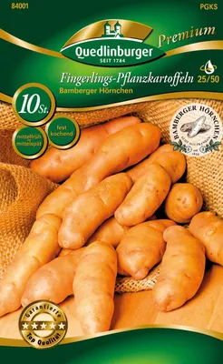 Artikelbild 1 von 'Pflanzkartoffel Bamberger Hörnchen (10 Stück) (gelb, festkochend, mittelfrüh/mittelspät)'