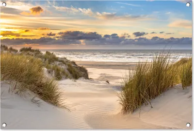 Produktbild von MuchoWow® 90x60 cm Outdoor-Poster Gartendeko Sichtschutz Garten Poster für den Garten  Strand - Düne - Gras - Sonnenuntergang - Meer