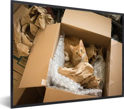Produktbild von MuchoWow® MuchoWow® Gerahmtes Poster Katze - Box - Rot 80x60 cm - Poster mit zchwarzem Bilderrahmen - Schwarzem - Mit Gestell