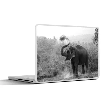 Produktbild von MuchoWow® Laptop Aufkleber Sticker Cover Reinigungselefant - schwarz und weiß 30x22 cm - Laptop-Sticker