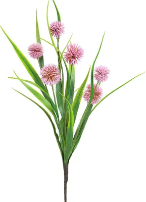 Produktbild von Kunstblumen Allium Dekoblume mit filigranen Blütenköpfen