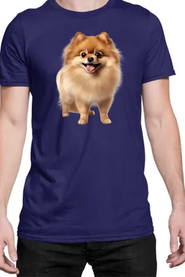 Immagine prodotto di Maglietta da uomo Dogs Breeds Pomeranian Dog Breed 005, Man M , Bleu foncé