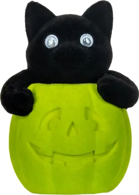 Produktbild von Kätzchen im grünen Halloween Kürbis 11 cm