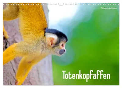 Produktbild von Totenkopfaffen (Wandkalender 2027 DIN A3 quer), CALVENDO Monatskalender