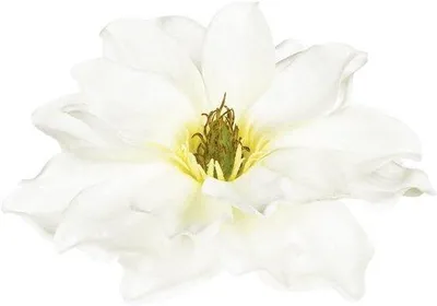 Image de Fleur flottante - Fleur artificielle décorative - Décoration d'étang - Flotte grâce à une chambre à air - 15 cm de large - Magnolia
