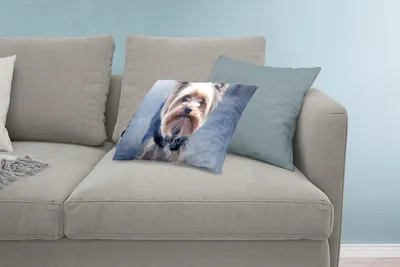 Produktbild von MuchoWow® Zierkissen Sofakissen Wohnzimmer Dekokissen 60x40 cm Nahaufnahme eines Yorkshire Terriers - Kopfkissen - Polster mit Foto