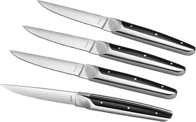Produktbild von Set mit 4 steakmessern Amefa 2540AAMB02BR4