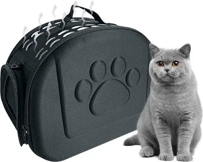 Produktbild von Famanu Tragetasche für Katzen und kleine Hunde - Atmungsaktive, faltbare Transportbox
