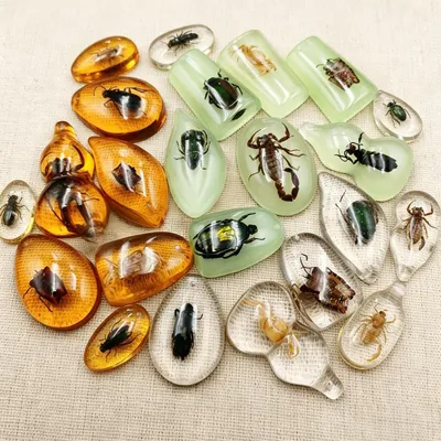 Imagen del producto de Conjunto de fósiles de insectos, 18 piezas, ámbar, para fines educativos