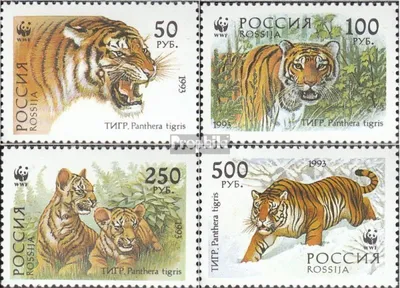 Produktbild von Briefmarken Russland 1993 Mi 343-346 (kompl.Ausg.) postfrisch Ussuri-Tiger
