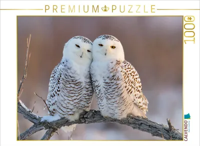 Produktbild von CALVENDO Puzzle Ein Motiv aus dem Kalender Waldgeflüster | 1000 Teile Lege-Größe 64x48cm Foto-Puzzle für glückliche Stunden
