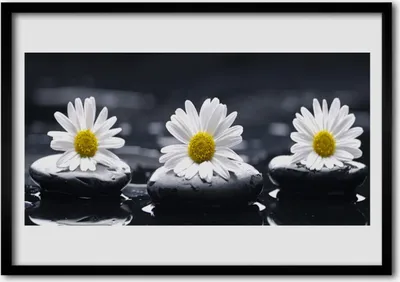 Produktbild von Bild 100x70 MDF-Rahmen Wandkunst Daisy Steine ​​Pflanze