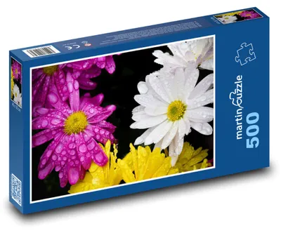 Produktbild von Puzzle 500 Gänseblümchen nach Regen - martinpuzzle