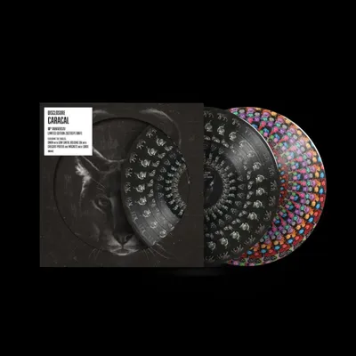 Produktbild von Disclosure: Caracal (10th Anniversary) (Limited Edition) (Zoetrope Vinyl)