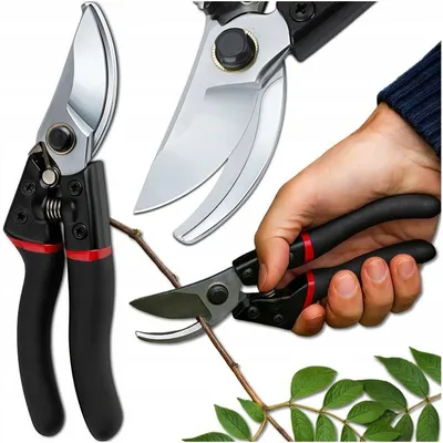 Obrázok produktu pre Záhradnícke nožnice 21,5 cm, čepeľ z nehrdzavejúcej ocele, do 30 mm