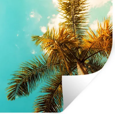 Produktbild von MuchoWow® Wandtattoo Wandsticker Wandaufkleber Palme - Sommer - Tropisch 80x80 cm Selbstklebend und Repositionierbar - Wierderverwendbar - Selbstklebend