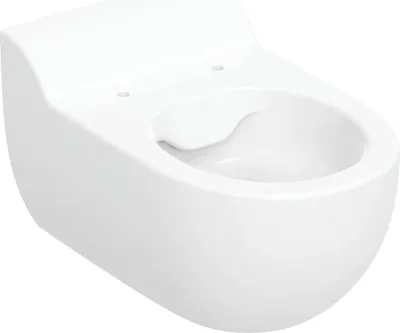 Produktbild von Geberit Bambini WWC-T, H35 Rimfree, 1 Stk.
