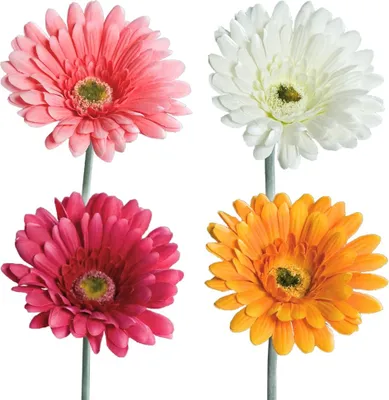 Produktbild von Gerbera Kunstblumen Kunstpflanzen künstliche Blüten 1 Stk - 56 cm - 4 Farben, 5_Farbe:Rosa