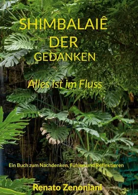 Produktbild von Shimbalaiê der Gedanken