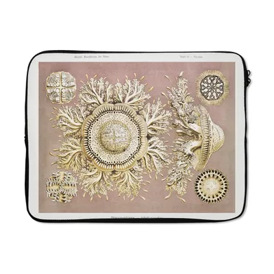 Produktbild von MuchoWow® Laptop Hülle 15 Zoll Jahrgang - Ernst Haeckel - Qualle - Kunst Laptoptasche - Laptoptasche - Sleeve - Rundum-Schutz