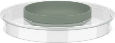 Immagine prodotto di MEPAL 102308594700 MEPAL Deckel für Schüssel Chef It transparent, 1 St.