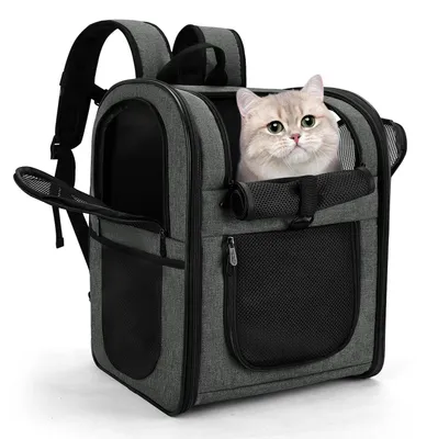 Produktbild von Apollo Walker Transporttasche für Hunde und Katzen, geeignet für große und kleine Tiere, Welpen, mit Sicherheitsmerkmalen
