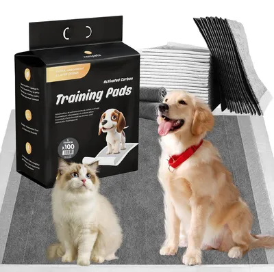 Hundetrainingsunterlagen 33x45 cm, 100 Stück, superabsorbierend