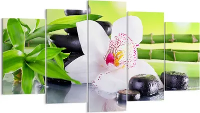 Produktbild von Bild auf Leinwand - Leinwandbild - blume orchidee - 160x85cm - Wand Bild - Wanddeko - Wandbilder - Leinwanddruck - Bilder - Kunstdruck - Wanddekoration - Leinwand bilder - Wandkunst - EA160x85-3659