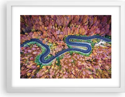 Produktbild von Gerahmtes Poster - Weißer Rahmen - Kurvenreich Weg Wald - 40x30 cm - Wand Bild - Wanddeko - Wandbilder - Kunstposter - Wandposter - Bilderrahmen - Bilder - Kunstdruck - Wandbild - P2WAA40x30-4291