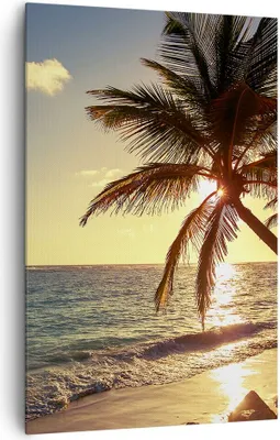 Produktbild von Bild auf Leinwand - Leinwandbild - Einteilig - Wolke exotischer Palm- Landschaft - 80x120cm - Wand Bild - Wandbilder - Leinwanddruck - Wanddekoration - Leinwand bilder - Wandbild - PA80x120-3180
