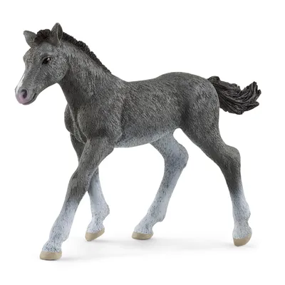 Produktbild von Schleich Trakénské hříbě