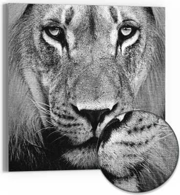 Produktbild von DEQORI Hybrid Leinwand Bild 30x30 cm 'Majestätischer Blick' Wandbild Glas flach modern