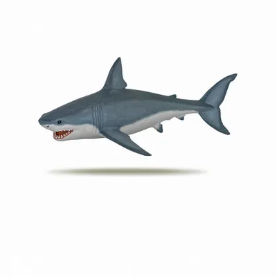Produktbild von Papo Weißer Hai, 3 Jahr(e), Marine life, Grau, Weiß, PVC