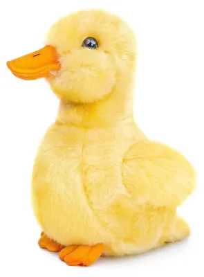 Obrázek produktu pro Plyšová hračka kachny - 15 cm, realistický design