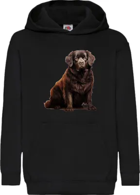 Zdjęcie produktu dla Dziecięca Bluza Z Kapturem Dogs Breeds Newfoundland Dog Breed 005, 7-8 Jahr - 128 / Czarny