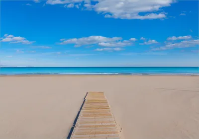 Produktbild von Wallario Poster - Auf dem Holzweg zum blauen Meer, Kunstdruck Größe: 70 x 100 cm