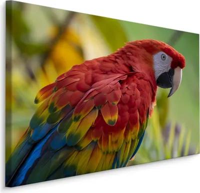 Produktbild von Fabelhafte Canvas LEINWAND BILDER 70x50 cm XXL Kunstdruck Natur Ara Papagei Vogel
