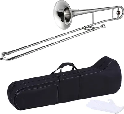 Image de Trompette argentée, trombone alto, laiton, tonalité de si bémol, instrument à vent plat en si bémol avec étui pour baguettes de nettoyage de l'embouchure en cupronickel