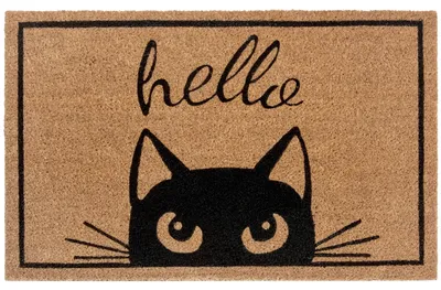 Produktbild von NYVI Fußmatte Cats - Wetterfest, Rutschfest, Langlebig, für Innen und Außen - Fußabtreter Schmutzfangmatte - 45x70 cm Rechteckig - Hello Cat