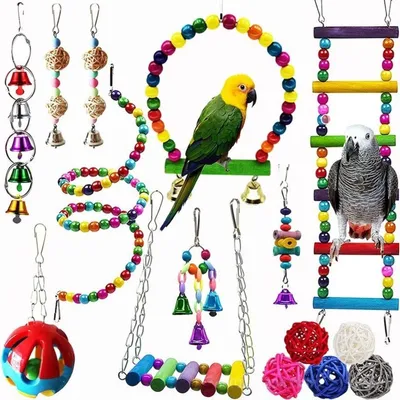 Image de INF Ensemble de jouets pour oiseaux 15 pièces — bois de pin et métal pour cage avec balançoire, échelle et accessoires à ronger