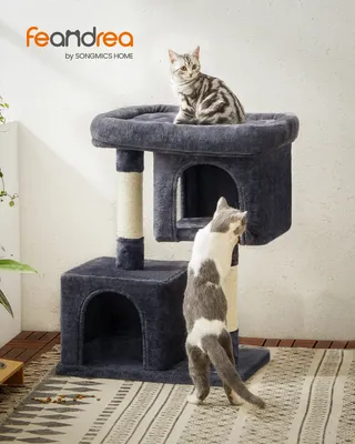 Two cats interact with a multi-level cat tree in a home setting.