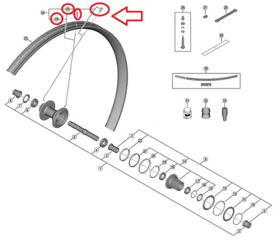 Image de Rayons SHIMANO avec écrous pour WH-M8200-TL-R12-B-29, 297 mm, lot de 2 - 29, 297 mm