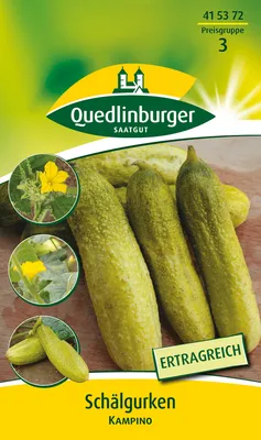 Produktbild von Schälgurke 'Kampino' Quedlinburger Gemüsesamen