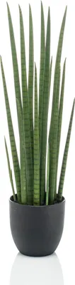 Produktbild von artplants.de Kunst Sansevieria Cylindrica KICHIRO im Dekotopf, grün, 70cm - Kunststoff Sukkulente