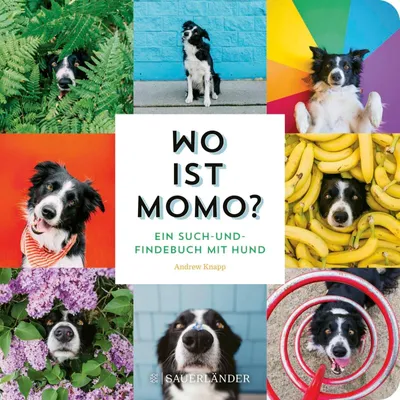 Produktbild von Wo ist Momo?